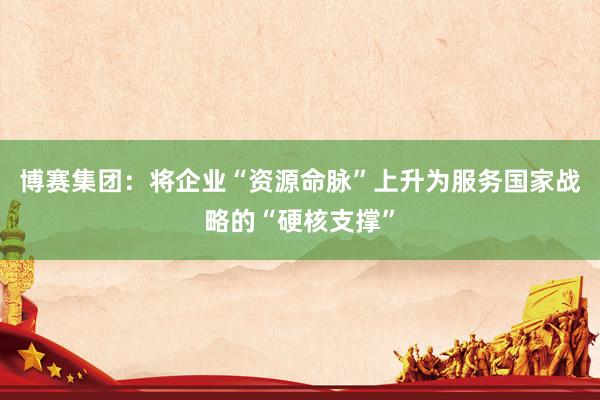 博赛集团：将企业“资源命脉”上升为服务国家战略的“硬核支撑”