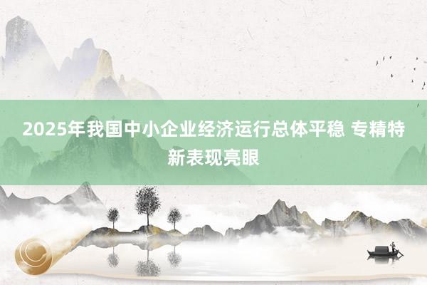 2025年我国中小企业经济运行总体平稳 专精特新表现亮眼