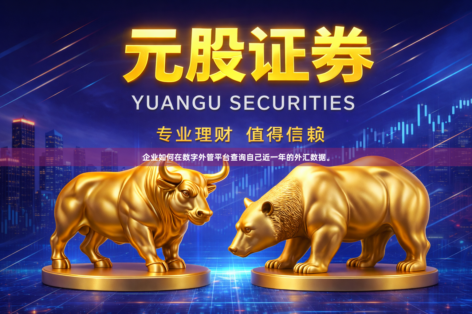 企业如何在数字外管平台查询自己近一年的外汇数据。