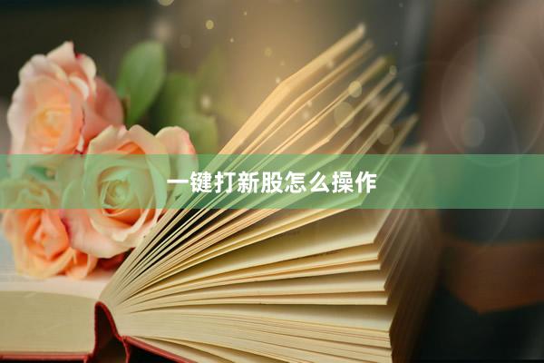一键打新股怎么操作