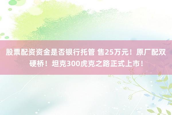 股票配资资金是否银行托管 售25万元！原厂配双硬桥！坦克300虎克之路正式上市！