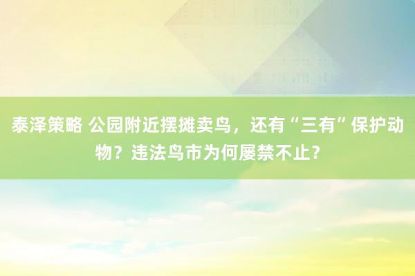 泰泽策略 公园附近摆摊卖鸟，还有“三有”保护动物？违法鸟市为何屡禁不止？