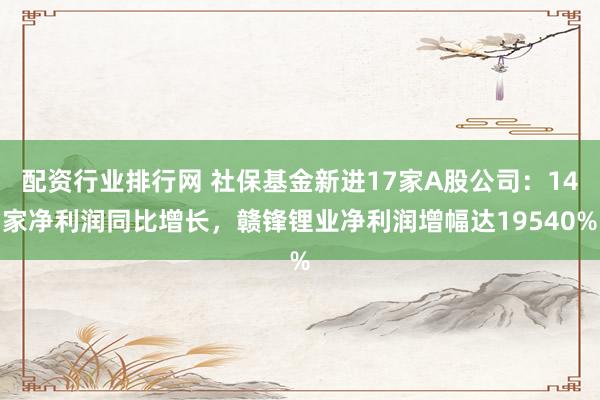 配资行业排行网 社保基金新进17家A股公司：14家净利润同比增长，赣锋锂业净利润增幅达19540%